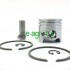 Πιστόνι STIHL FS/FR 200-350 ΘΑΜΝ/ΚΑ